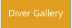 Diver Gallery